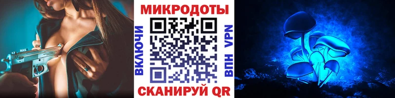 купить наркотик  Ирбит  Псилоцибиновые грибы MAGIC MUSHROOMS 