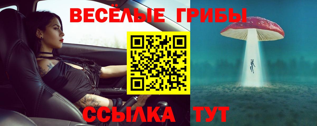 Галлюциногенные грибы Psilocybe Ирбит